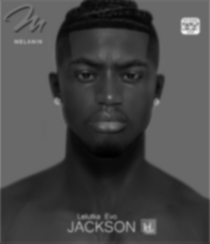 Second Life Marketplace - Melanin Jackson Face Appliers DEMO (Unpack)